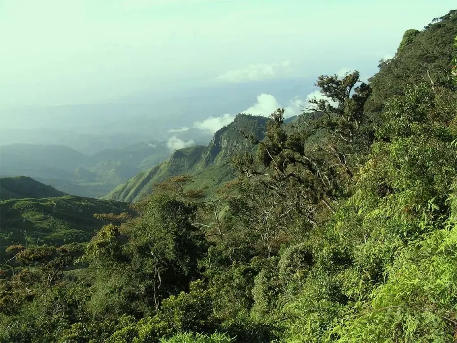 Moon Plains — Haputale (Sri Lanka)