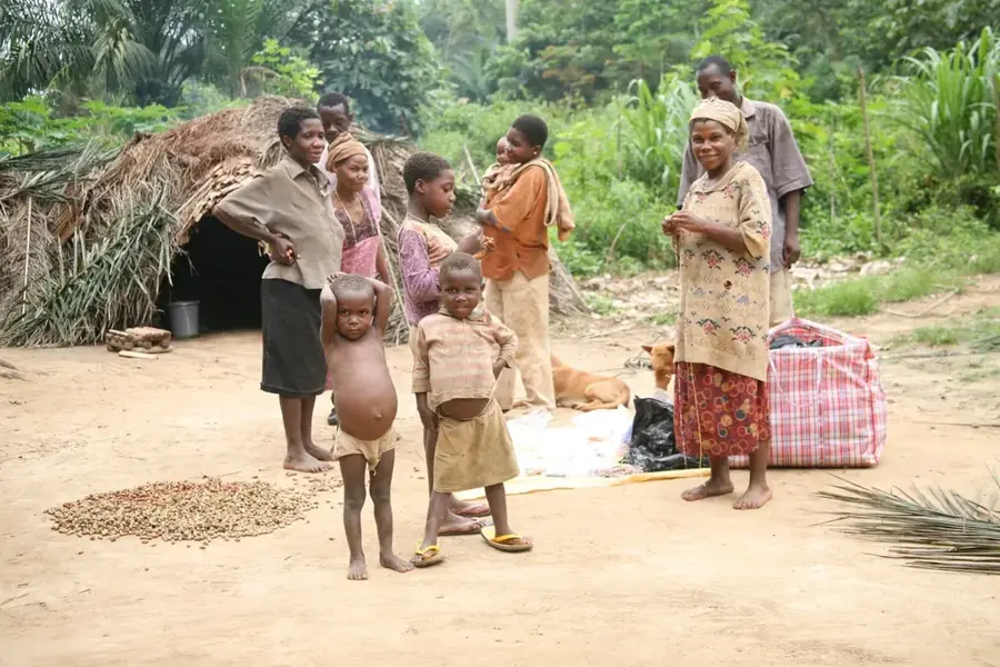 Dja Basin — Djoum Rainforest Reserve (Cameroon)