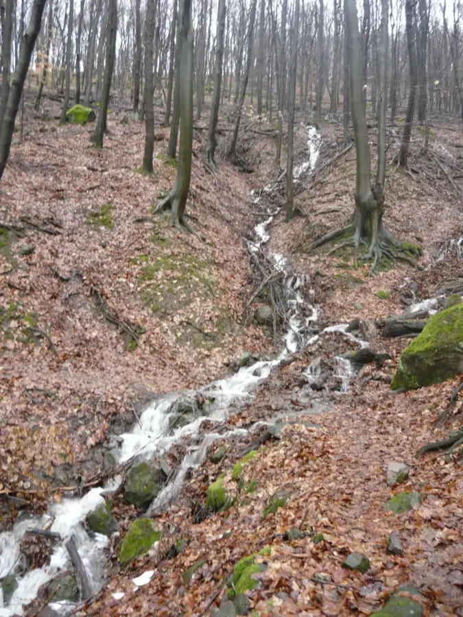 Visegrader Gebirge