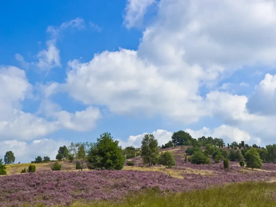 Wilseder Berg (Germany)