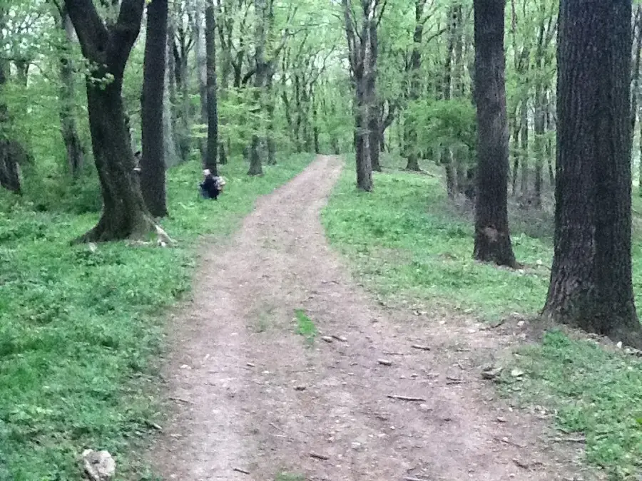 Zengő — Kozármisleny (Ungarn)