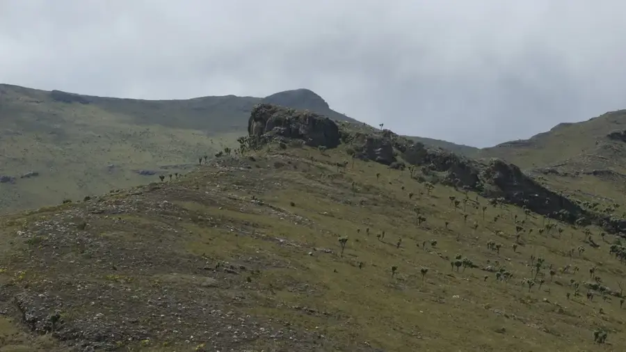 Mount Satima — Aberdare (Kenia)