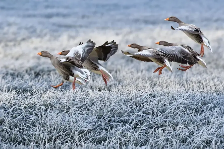 Vogelschutzgebiet Mundok