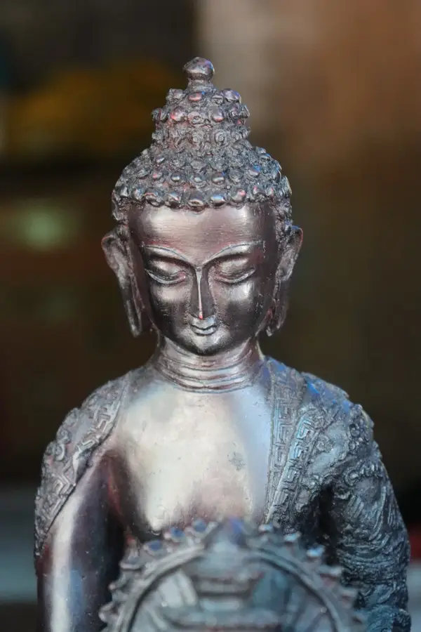 Grădinile de mirodenii din Munnar — Kizhunna (India)
