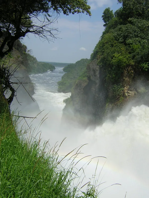 Murchison-Falls-Nationalpark — Budongo-Wald (Uganda)