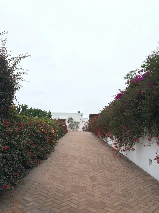 Museo Larco