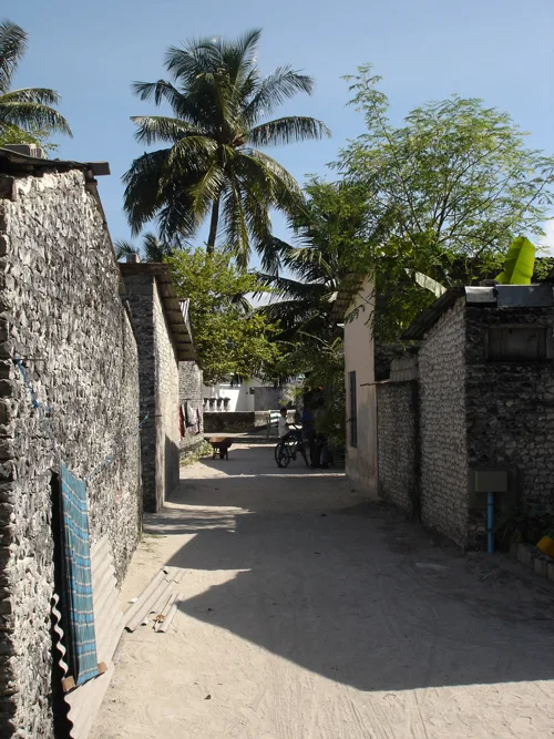 Alifushi