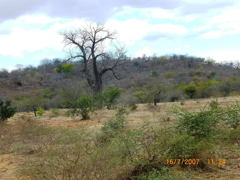 Mina de Cărbune Moatize — Barajul Cahora Bassa (Mozambic)