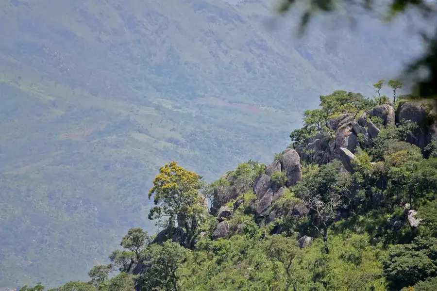 Vumba Rock Paintings