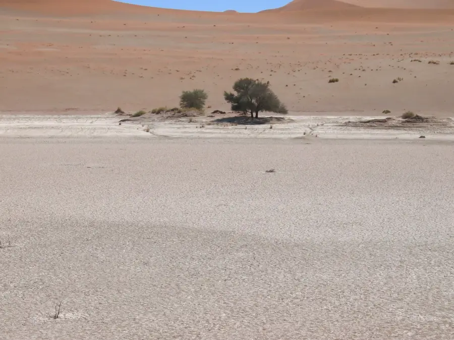Deadvlei