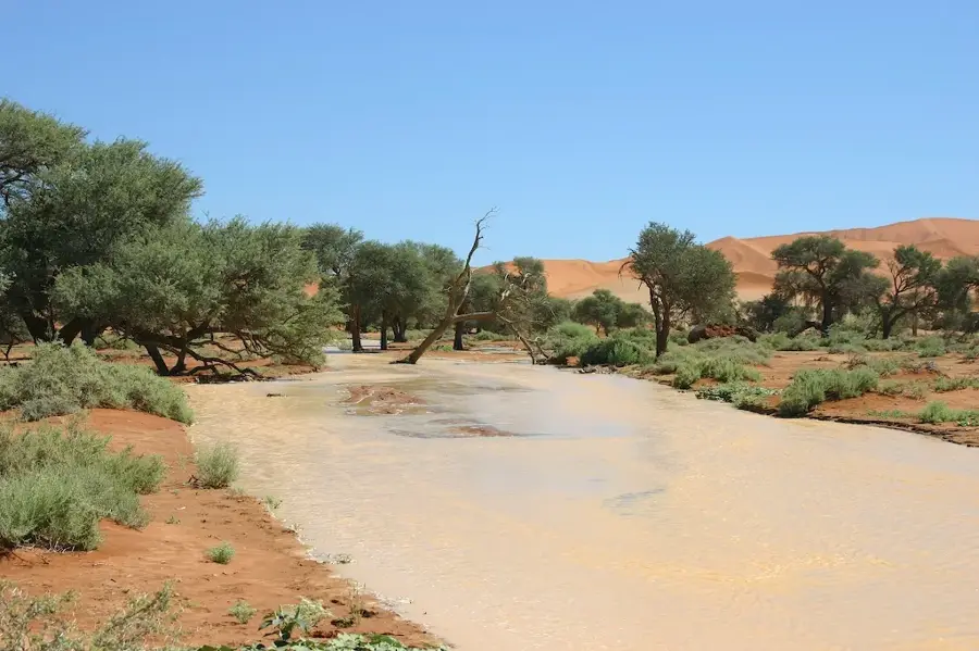 Tsauchab River
