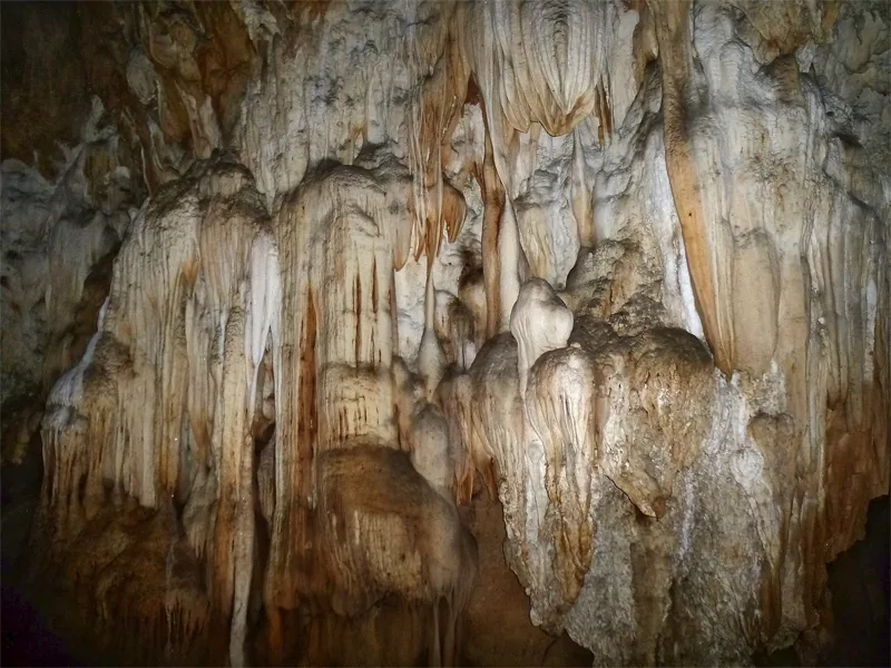 Nam Ha National Protected Area — Boten Specific Economic Zone (Laos)