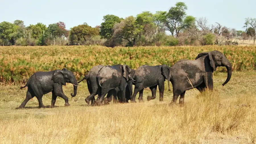 Bwabwata Nationalpark