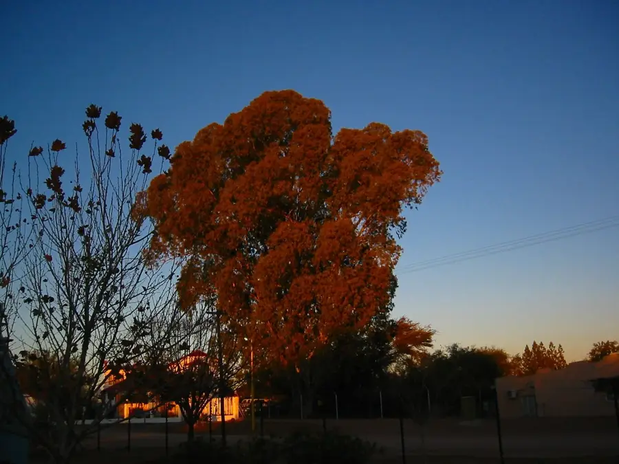 Mariental Agrarzentrum — Stampriet (Namibia)