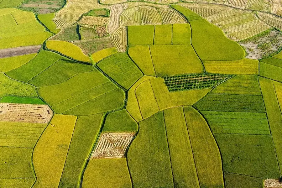 Nana-Grébizi Rice Valleys