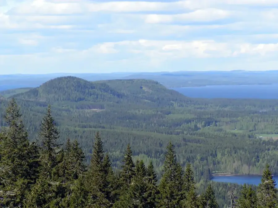 Koli Nemzeti Park