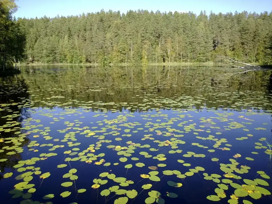 Nuuksio Forest — Linnanmaki (Finland)