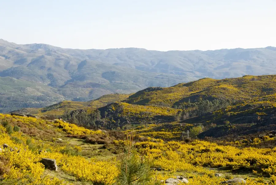 Peneda-Gerês NP