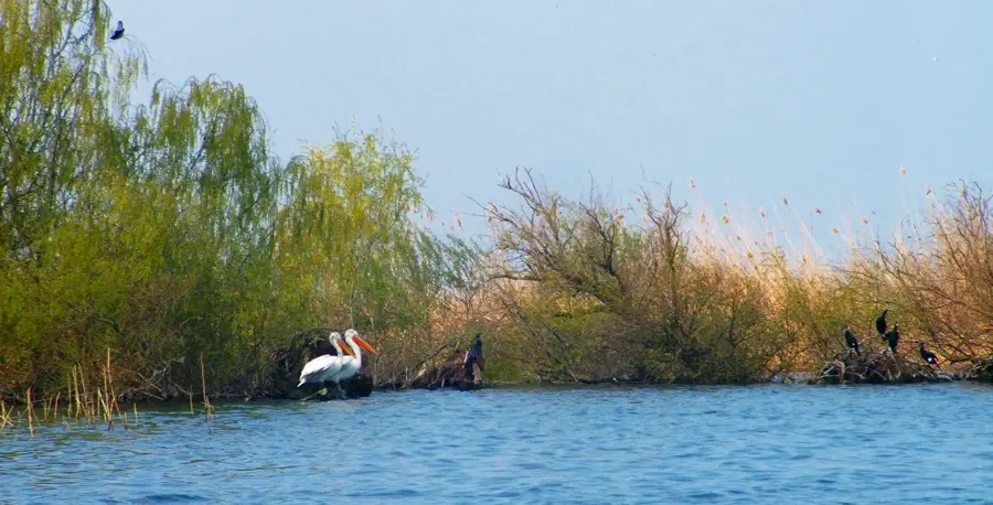 Srebarna Lake