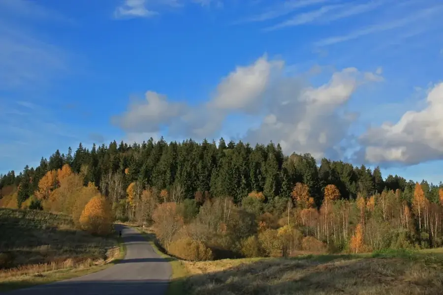 Suur Munamägi