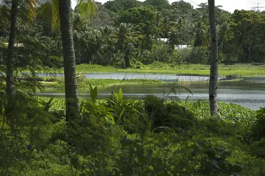 Historische Siedlung Buada — Centenary Complex (Nauru)
