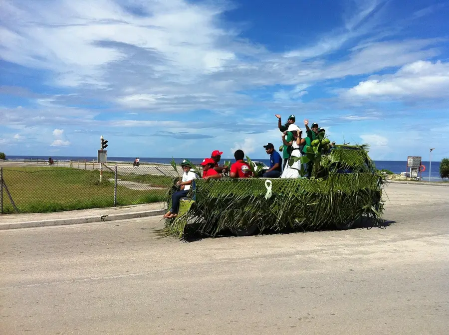 Command Ridge Forest — Command Ridge (Nauru)