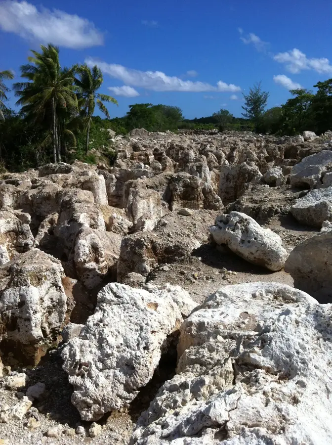 Nauru Museum