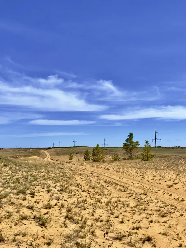 Naurzum Nature Reserve — Kostanay Wheat Fields (Kazakhstan)