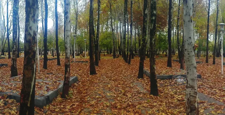 Nazhvan Forest Park