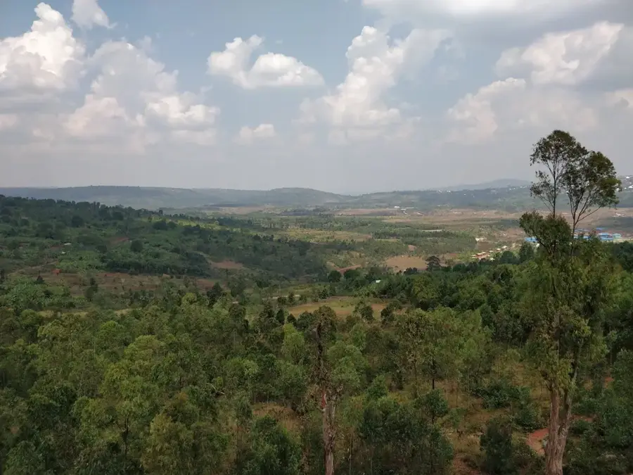 Ndava