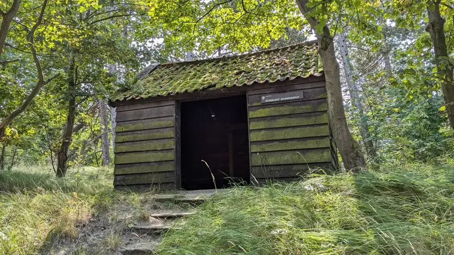 Boswachterij Westerschouwen – pădure