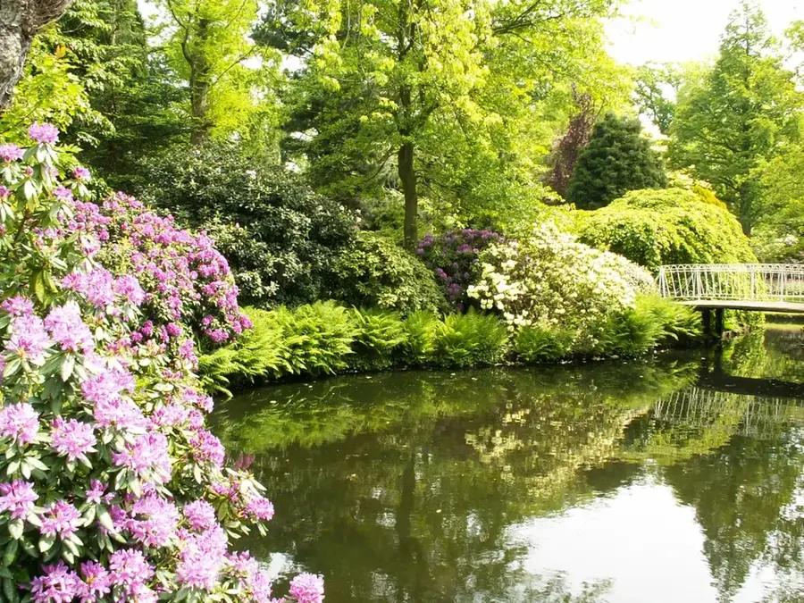 Grădina Botanică Arboretum Trompenburg