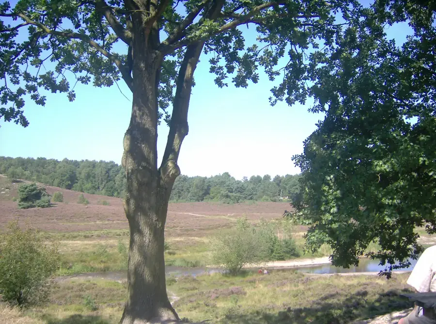 Brunssum – oraș