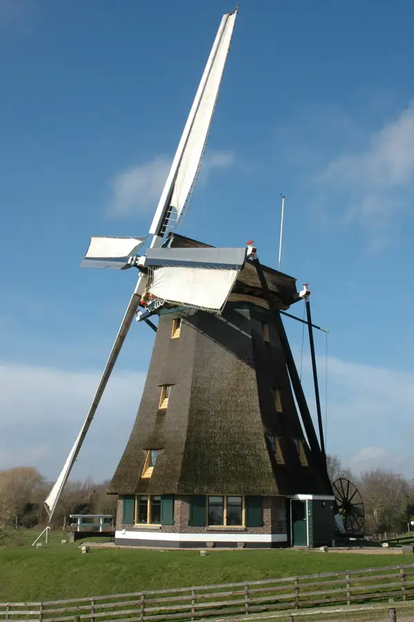 Licitația de flori Aalsmeer — Haarlem (Olanda)