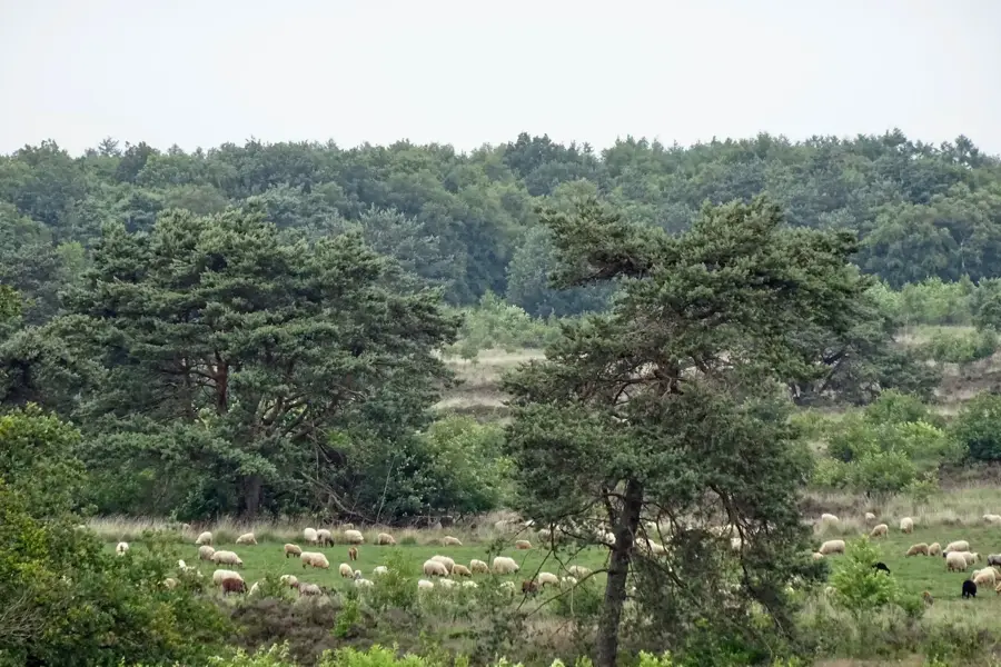 Havelterberg – oraș