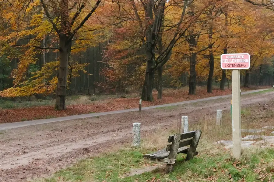 Holterberg vârf – munte