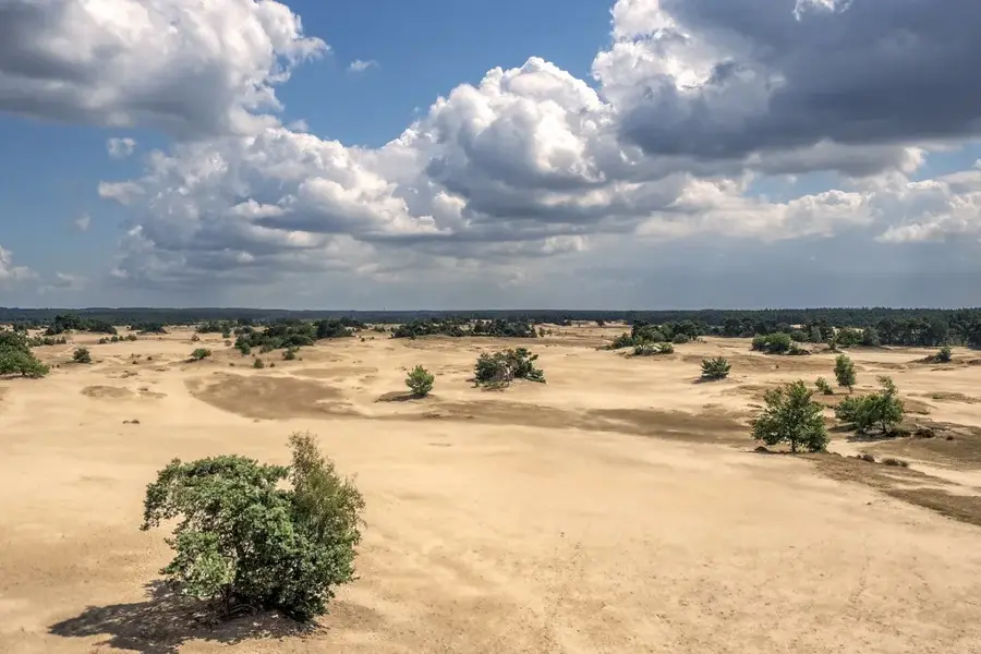 Kootwijkerzand — Harderwijk (Olanda)