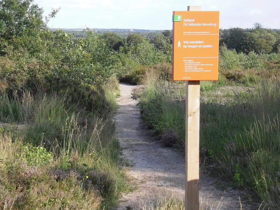 Sallandse Heuvelrug — Borne (Olanda)