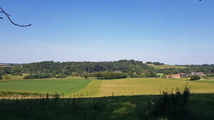 Schaelsberg – munte