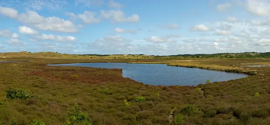 Schoorlse Duinen — Heiloo (Olanda)