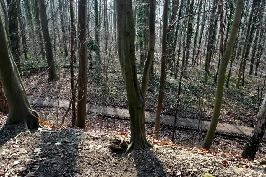 Sint-Pietersberg – munte