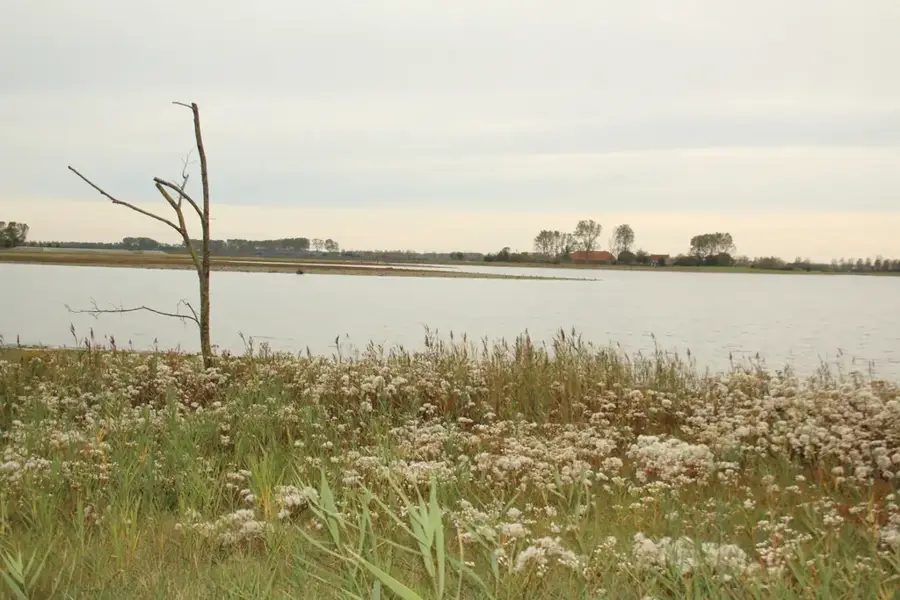 Waterdunen — Goes (Olanda)