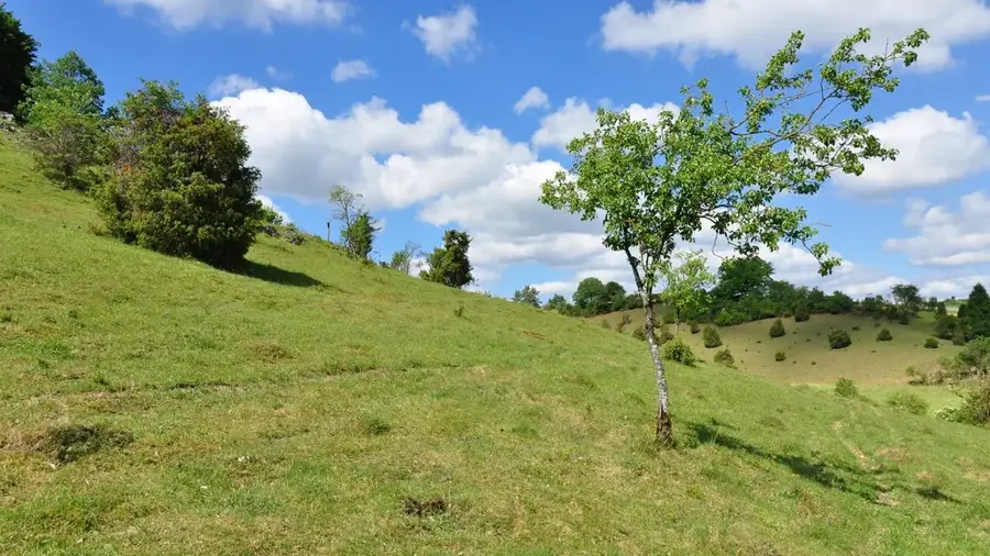 Rezervația Naturală Zwin — Goes (Olanda)