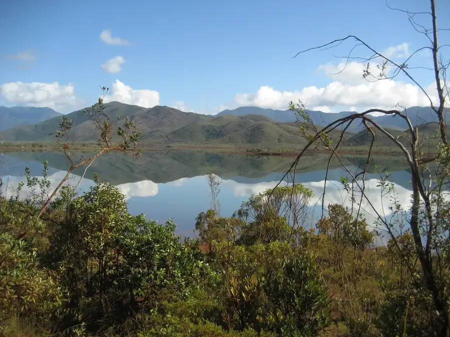 Parcul Provincial Râul Albastru — Vârful Marelui Kaori (Noua Caledonie)