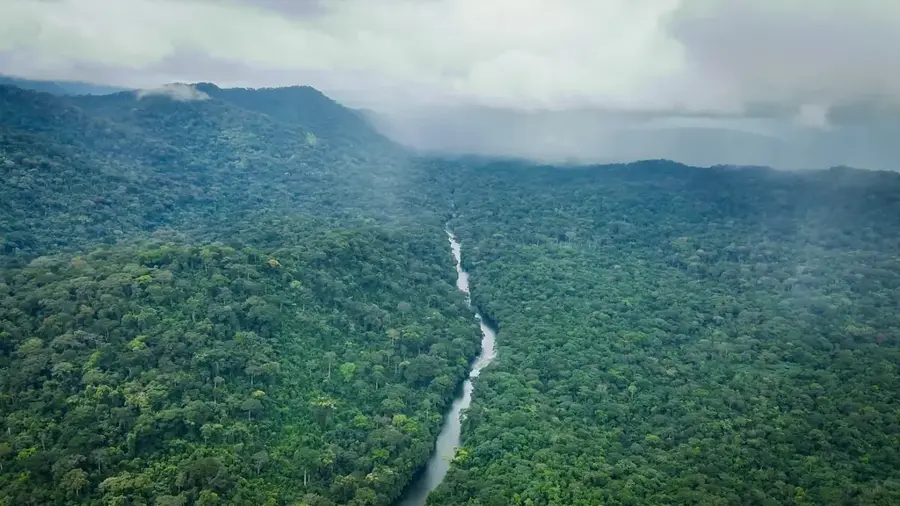Calabari Majomrezervátum — Calabar (Nigéria)