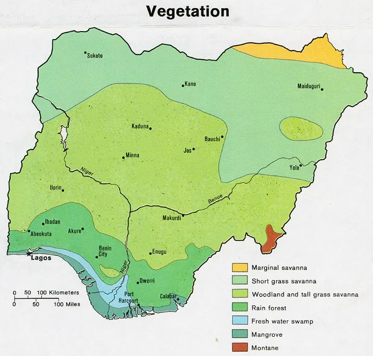 Delta Naturschutzzone — Ughelli (Nigeria)
