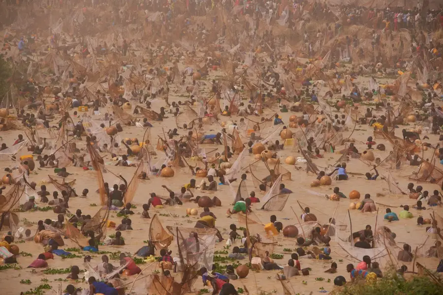 Kebbi Reis-Hub — Gaya (Niger)