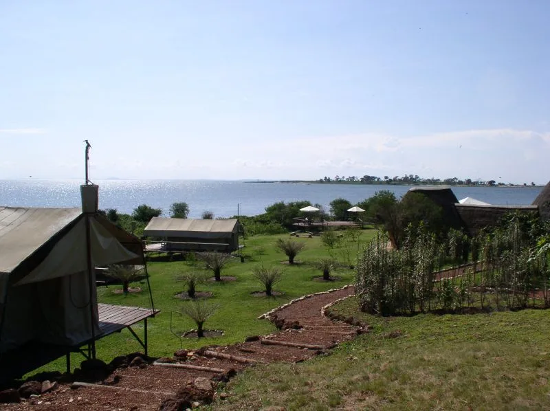 Ngamba-Insel-Schimpansen-Reservat — Entebbe (Uganda)
