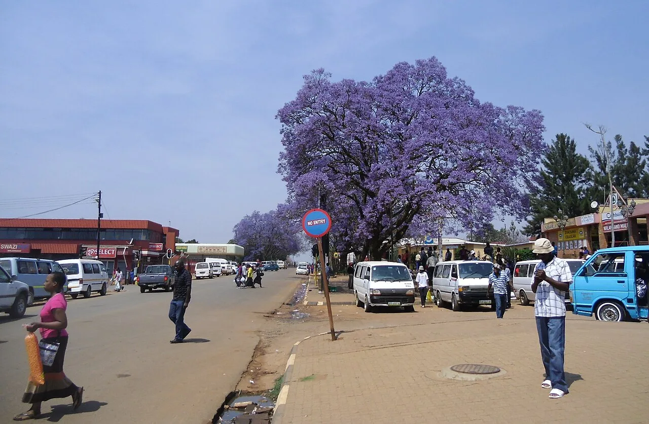 Centrul forestier Nhlangano — Kubuta (Eswatini)