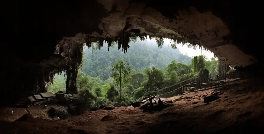 Niah Caves Archaeological Site